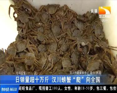 日销量超十万斤 汉川螃蟹“爬”向全国