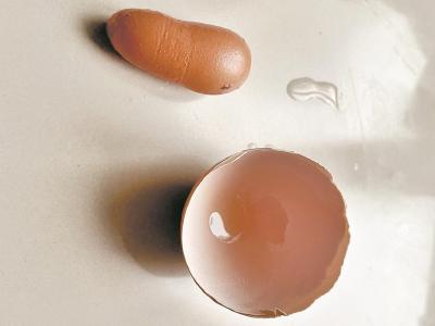 大鸡蛋内藏着个小鸡蛋 专家称是产蛋过程中的应激反应所致