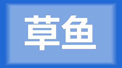 荆州市江陵县吴师傅：池塘养草鱼每亩放多少尾鱼苗？