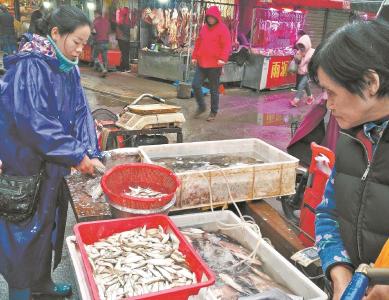 小杂鱼种类变多 将探索规模养殖 “河小鲜”游上武汉市民餐桌