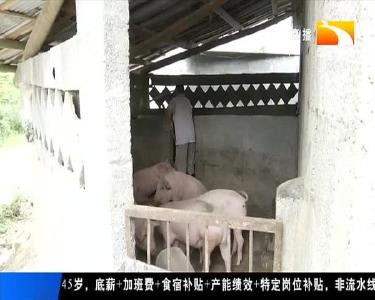 通村公路畅达产业兴 “616”工程惠乡亲