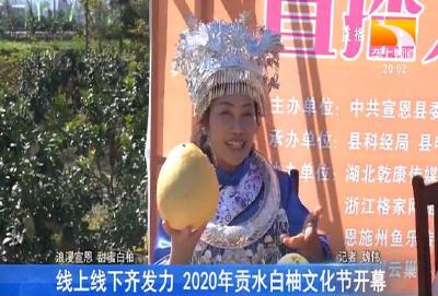 线上线下齐发力 2020年贡水白柚文化节开幕