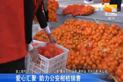 爱心汇聚 助力公安柑桔销售