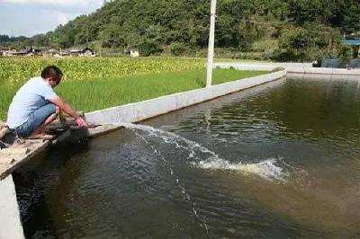 天气渐冷，要加深水位给池塘保温！加水技巧学会这五点！