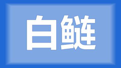 江陵县王师傅：白鲢鱼鱼体出现破伤损坏，活动缓慢，该怎么处理？