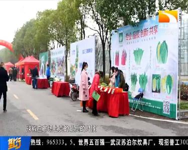 天价“网红菜”现身武汉种博会