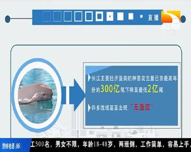 十年禁渔 我省或将迎来淡水渔业发展机遇期