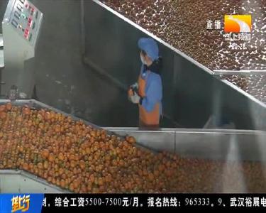 精深加工 让宜昌蜜桔装上“稳压器”