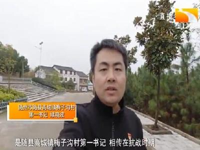 随州市随县高城镇梅子沟村：咱们村的第一书记