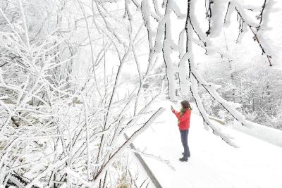 小雪节气 襄阳保康迎来今冬首场雪