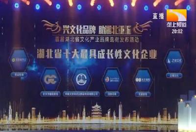 “品牌之树”聚成林 助推湖北文化产业蝶变