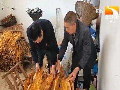 发展烟叶特色种植 南漳烟农户平年入7万元