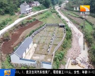 荆楚扶贫印记：易地扶贫 “搬”进幸福新生活（上）