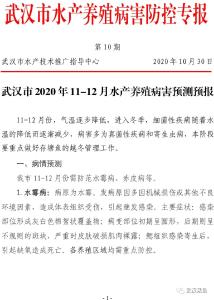 武汉市2020年11-12月水产养殖病害预测预报