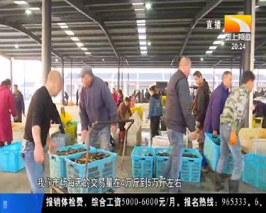 科技赋能 中国网箱养鳝第一镇的美丽“鳝”变