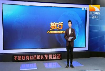 垄上行 2020-12-07