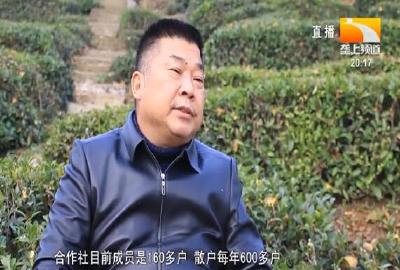 胡传国：从种茶养鸡“门外汉”到全国劳模