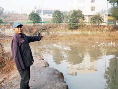 从捡破烂到回乡做种植养殖 咸宁独臂铁汉单手撑起一个家 