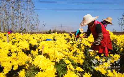 麻城市纪委监委扶贫干部助力 帮扶村旧貌变新颜