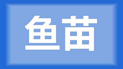 洪湖市刘师傅：苗进塘前和进塘后的管理预防措施和注意事项？