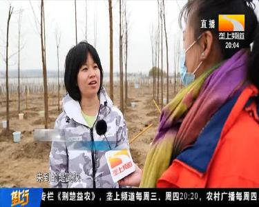 线上“播种”线下种树 武汉栽下“希望林”