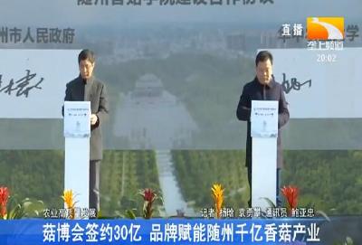 菇博会签约30亿 品牌赋能随州千亿香菇产业