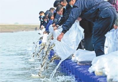 武汉禁渔后首次在长江放还鱼 执法人员代违禁者放还鱼十余万尾