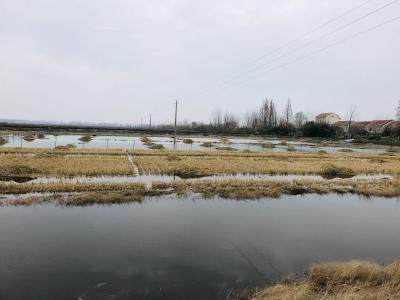 专家贴士 | 水产养殖防低温雨雪灾害窍门