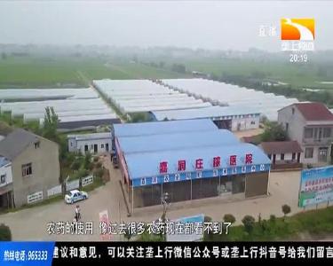 良种配良方 助力湖北抢占优质稻米“C位”