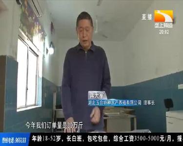 五年推广绿色养殖 襄阳水产品供给质量稳步提升