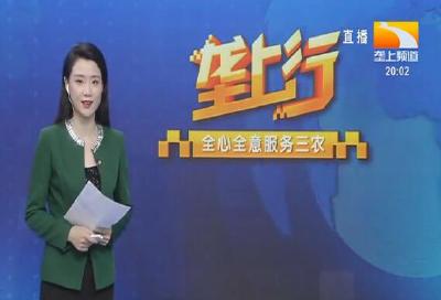 垄上行 2020-12-13