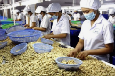武汉新洲区农产品加工值首次超过200亿