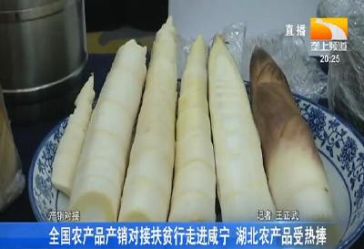 全国农产品产销对接扶贫行走进咸宁 湖北农产品受热捧