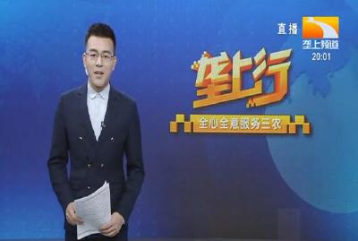 垄上行 2020-12-01