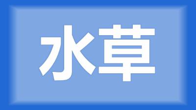 公安县张师傅：草栽了二十多天，上面有厚厚的泥，该怎么处理？