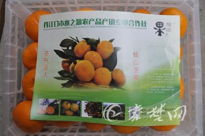 感恩“桂人”，十堰25万公斤柑橘赠送广西援堰医疗队员