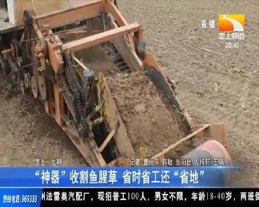 “神器”收割鱼腥草 省时省工还“省地”