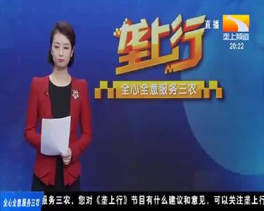 冬夜捕捞大黄鱼 见证丰收喜悦