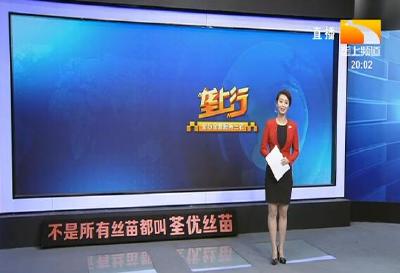 垄上行 2021-01-23