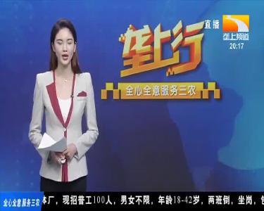 合作社自建600吨冷库 嘉鱼高品质蔬菜保供大湾区