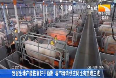我省生猪产能恢复好于预期 春节猪肉供应同比有望增三成