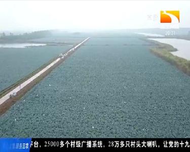 湖北健康蔬菜行动计划首次发布