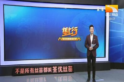 垄上行 2021-01-26