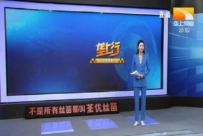 垄上行 2021-01-08