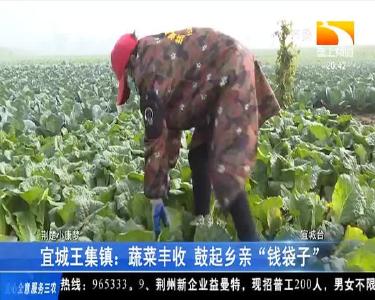 宜城王集镇：蔬菜丰收 鼓起乡亲“钱袋子”
