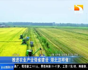推进农业产业强省建设 湖北这样做