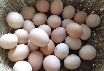 涨得快跌得猛，鸡蛋价格回落，预计月底跌到4.5元/斤