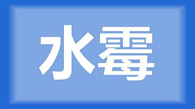 江陵县杨师傅：鱼身上有白毛是得了什么病？怎么治疗？