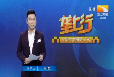 垄上行 2021-01-07