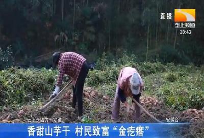 香甜山芋干 村民致富“金疙瘩”